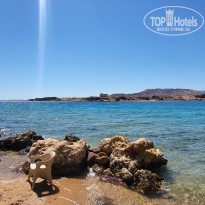 фото из отзыва ID 2748892