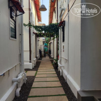 фото из отзыва ID 2749007