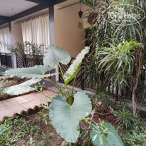 фото из отзыва ID 2749007