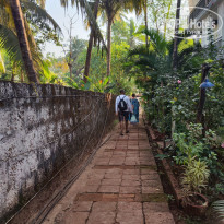 фото из отзыва ID 2749007