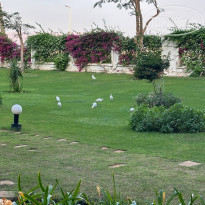 фото из отзыва ID 2749083