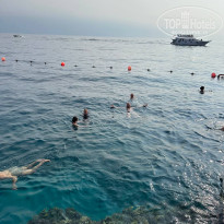 фото из отзыва ID 2749083