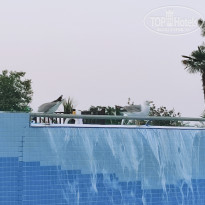 фото из отзыва ID 2749081