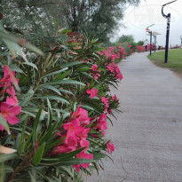 фото из отзыва ID 2749081