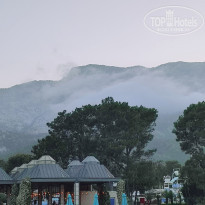 фото из отзыва ID 2749081