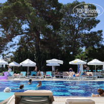 фото из отзыва ID 2749081