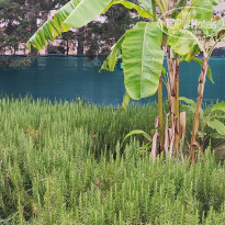 фото из отзыва ID 2749081