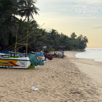 фото из отзыва ID 2749240