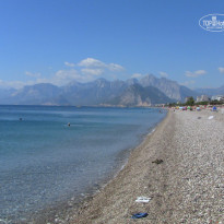 фото из отзыва ID 281753