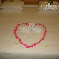 фото из отзыва ID 286286