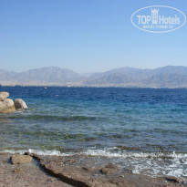 фото из отзыва ID 293366