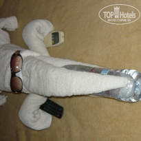 фото из отзыва ID 298005