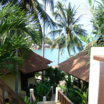 фото из отзыва ID 305220