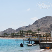 фото из отзыва ID 312334