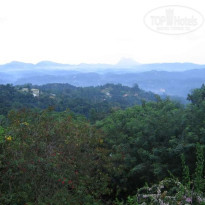 фото из отзыва ID 33346