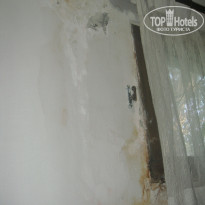 фото из отзыва ID 342960