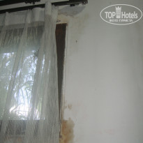 фото из отзыва ID 342960