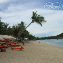 фото из отзыва ID 34321