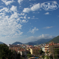 фото из отзыва ID 350438