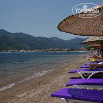 фото из отзыва ID 350438