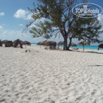 фото из отзыва ID 353285