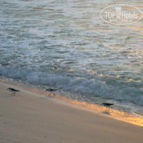 фото из отзыва ID 353285