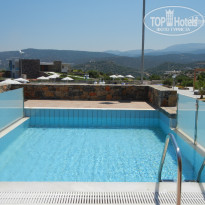 фото из отзыва ID 354235