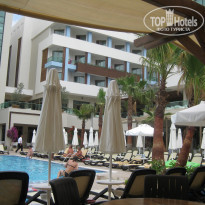 фото из отзыва ID 355144