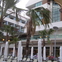 фото из отзыва ID 366140