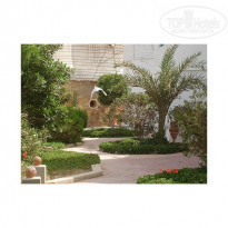 фото из отзыва ID 37310