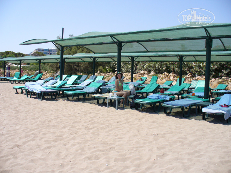 Pine beach belek 5 отзывы. Pine Beach Belek 5 пляж. Pine Beach Belek 5 бар на пляже. Pine Beach Belek 5 бунгало. Пино Бич Белек отель Турция.