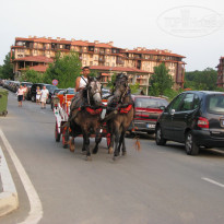 фото из отзыва ID 390966