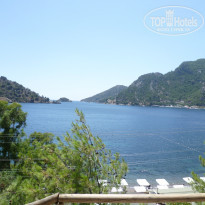 фото из отзыва ID 396226