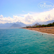 фото из отзыва ID 397239