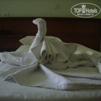 фото из отзыва ID 399124