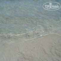 фото из отзыва ID 406858