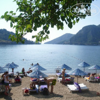 фото из отзыва ID 413105