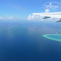 фото из отзыва ID 427557