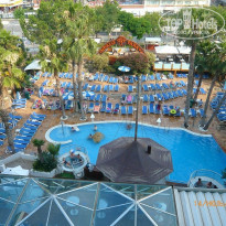 фото из отзыва ID 435981