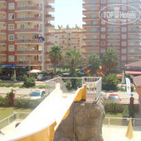 фото из отзыва ID 440990