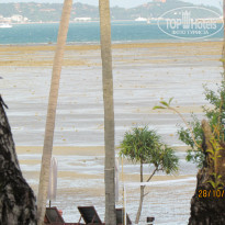 фото из отзыва ID 444778