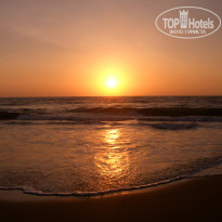 фото из отзыва ID 444870