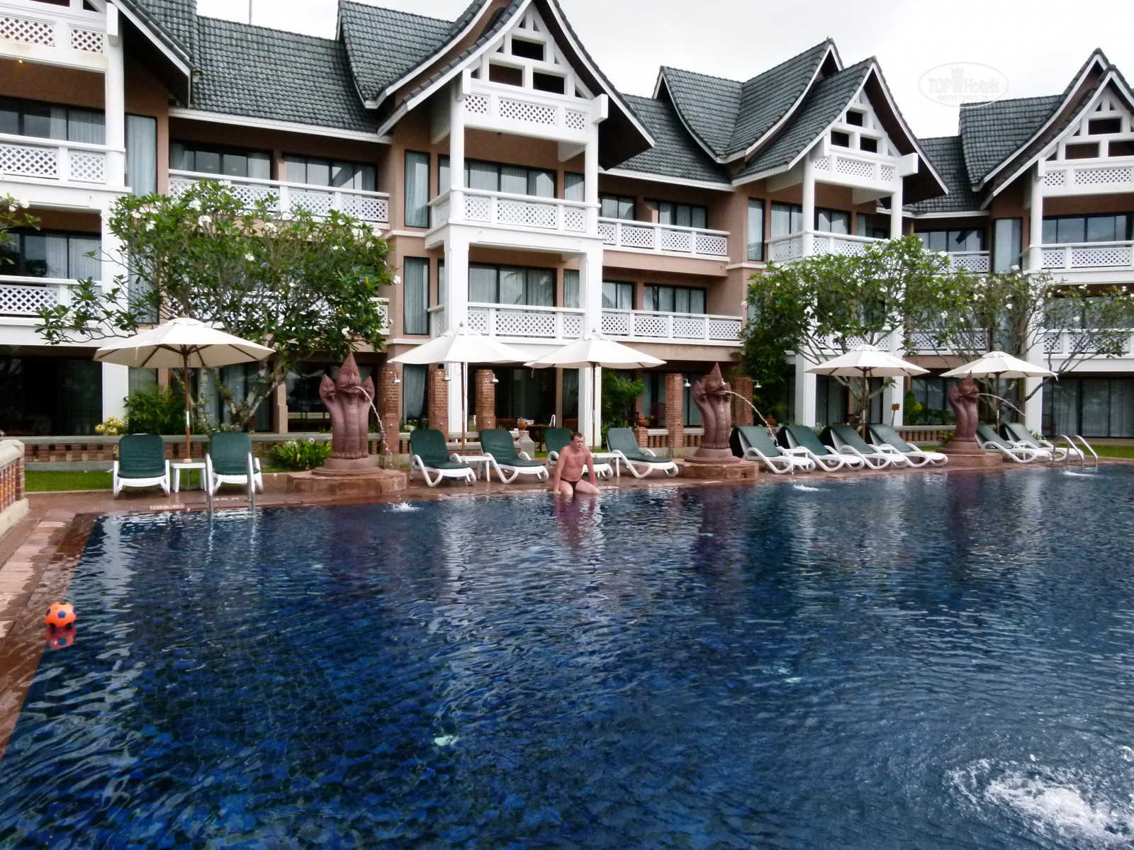 Allamanda phuket