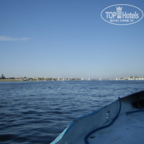 фото из отзыва ID 452142