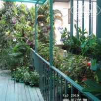 фото из отзыва ID 452967