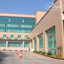 фото из отзыва ID 460964