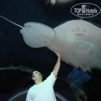 фото из отзыва ID 463946