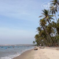 фото из отзыва ID 464045