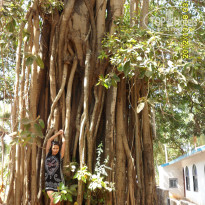 фото из отзыва ID 474633