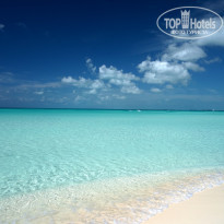 фото из отзыва ID 475995